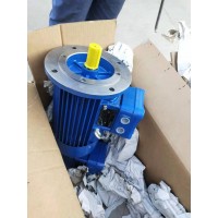 德國ATB防爆電機 AFV 63/4 B-7 型號介紹