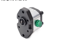 ROQUET鐵鑄齒輪泵1PNA36DE10型號 ROQUET鐵鑄齒輪泵1PNA36DE10型號