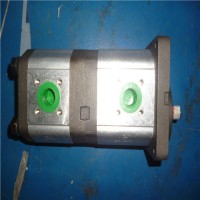 西班牙Roquet鋁齒輪泵和電機(jī)從 4 到 26，66 cc/rev |LZ - 低噪音系列