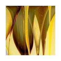 產(chǎn)品照片