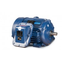 CEMP防爆電機(jī)帶制動(dòng)器的IEC防爆電機(jī)、IEC無(wú)火花和導(dǎo)電粉塵電機(jī)
