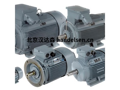 荷蘭品牌Dutchi鼠籠感應(yīng)電機(jī)特點