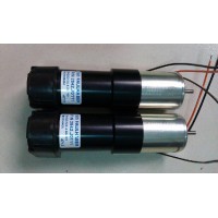 Faulhaber 無刷伺服直線電機(jī) 2842S024C 德國(guó)原裝進(jìn)口