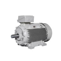 Lammers低壓電機(jī) 效率等級(jí)：IE1、IE2、IE3、IE4