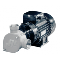 Johnson Pump 柔性葉輪泵-AC  特別適用于艙底、沖洗、消防、化糞池處理和水循環(huán)任務(wù)