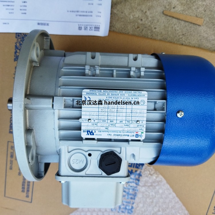 意大利MT Motori 電動機(jī)TN 80 B4 3TH優(yōu)勢報(bào)價(jià)