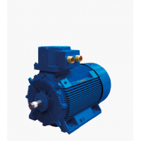 Marelli Motori 是電機(jī)和發(fā)電機(jī)的領(lǐng)先制造商，適用于多種工業(yè)領(lǐng)域