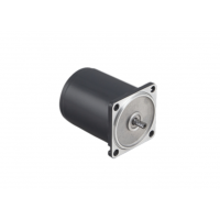 瑞典進(jìn)口Transmotec 感應(yīng)交流減速電機(jī)，功率高達(dá)120W