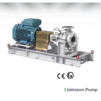 Johnson Pump 重型流程泵，適合化工/石化工業(yè)、煉油廠和一般工業(yè)應(yīng)用