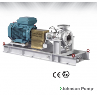 Johnson Pump 重型流程泵，適合化工、煉油廠和一般工業(yè)應(yīng)用