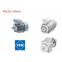 德國VEM Motor 單相電機EB20RW 80 K 4
